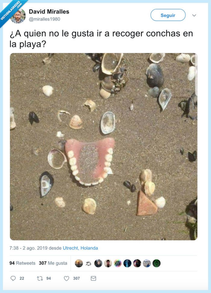 playa,conchas,dentadura