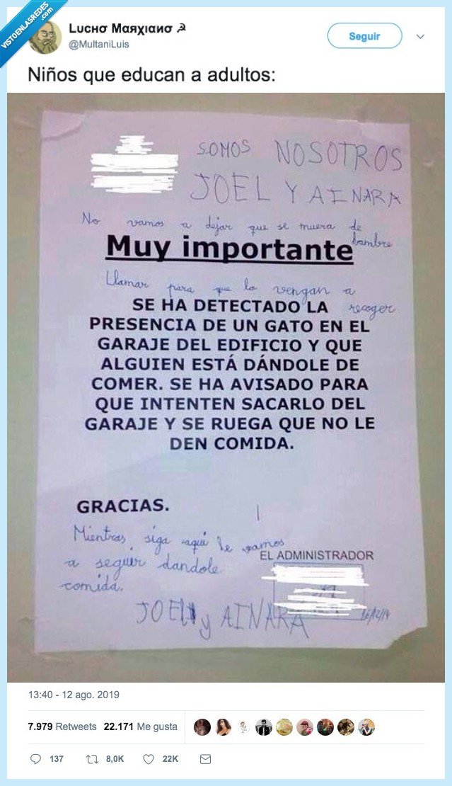 adultos,ni&ntilde;os,gato,parking,garaje,alimentar