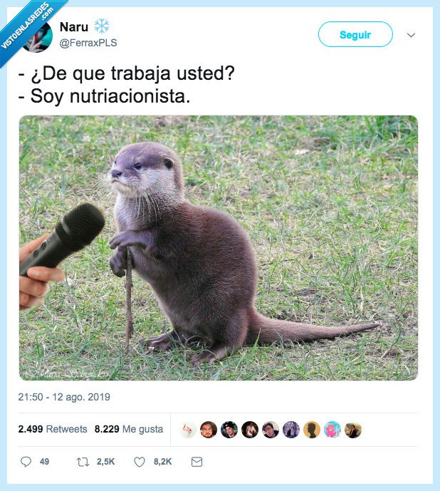 nutria,nutricionista,chistaco