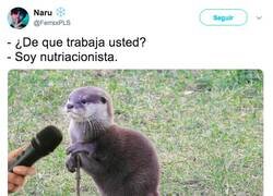 Enlace a Una profesión muy en auge, por @FerraxPLS