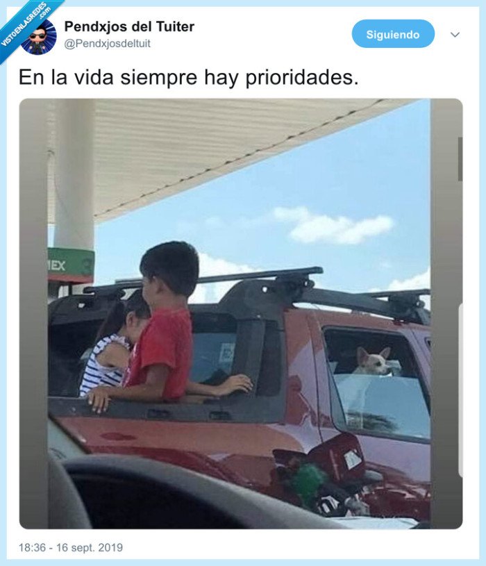 perros,coche,hijos