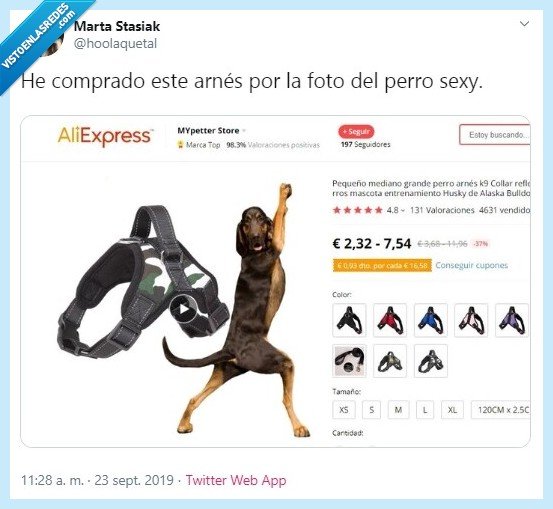 Twitter,perro,comprar,AliExpress,sexy