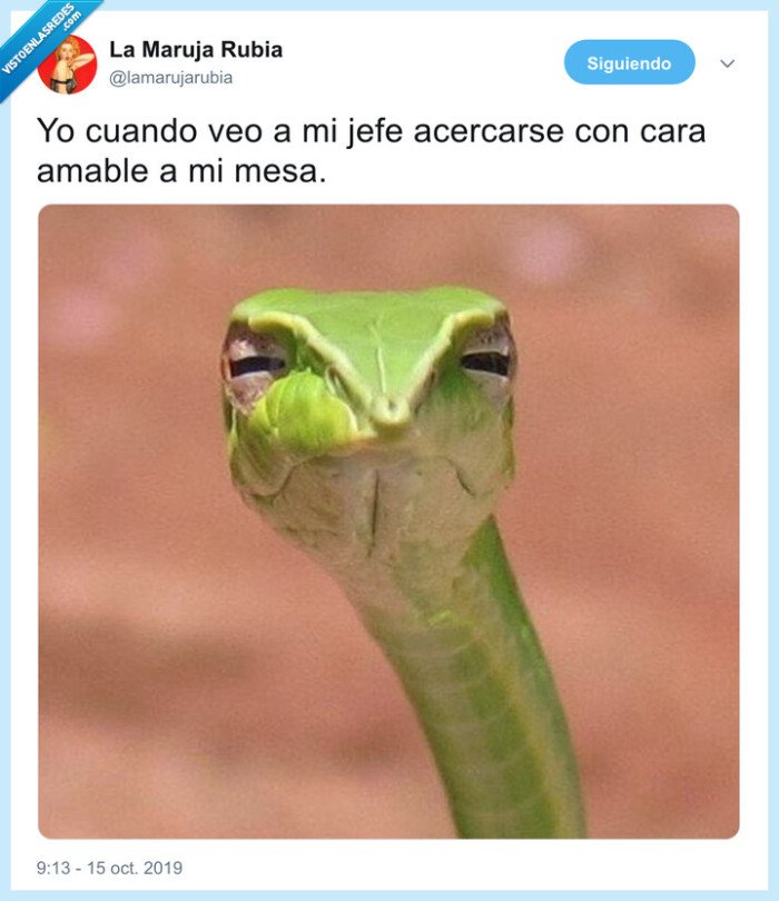 jefe,suspicaz,no me fio,trabajo