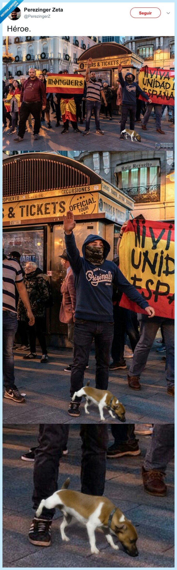 chop,montaje,perro,ultras,meando