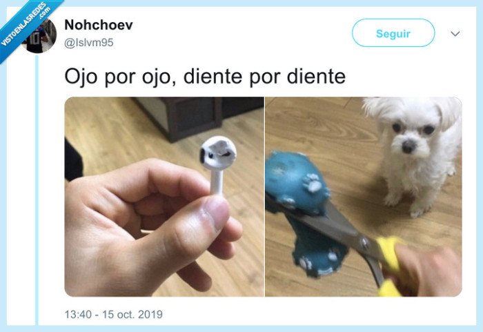 ojo por ojo,perro,airpods,destrucción