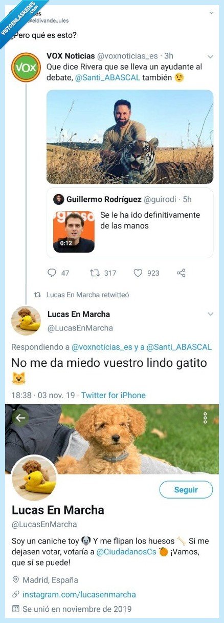 perro,lucas,abascal,tigre,safari,debate