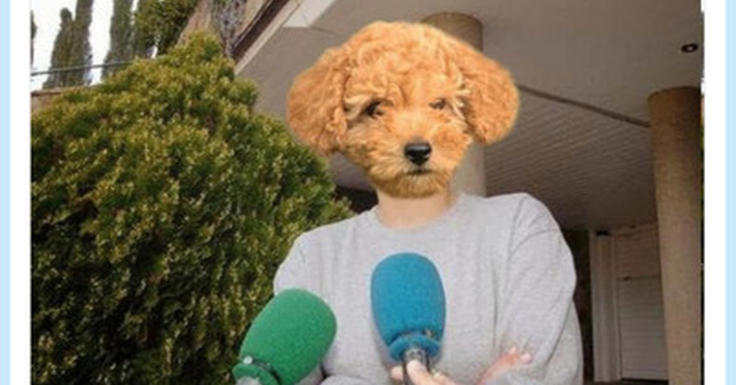 VEF > Visto en las Redes > Chenoa, Rivera y el perro, por cometelasopa