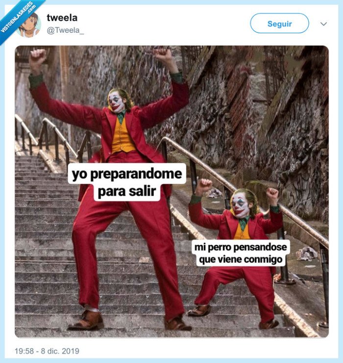 joker,salir,perro,fiesta