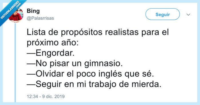 propósitos,año nuevo,vago,cumplir