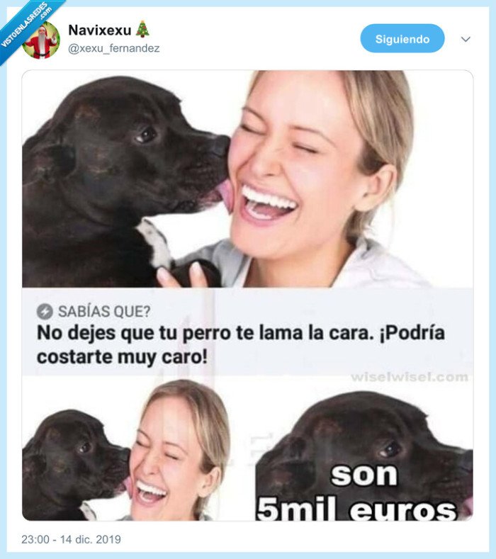 perro,dinero,lamet&oacute;n,lamer