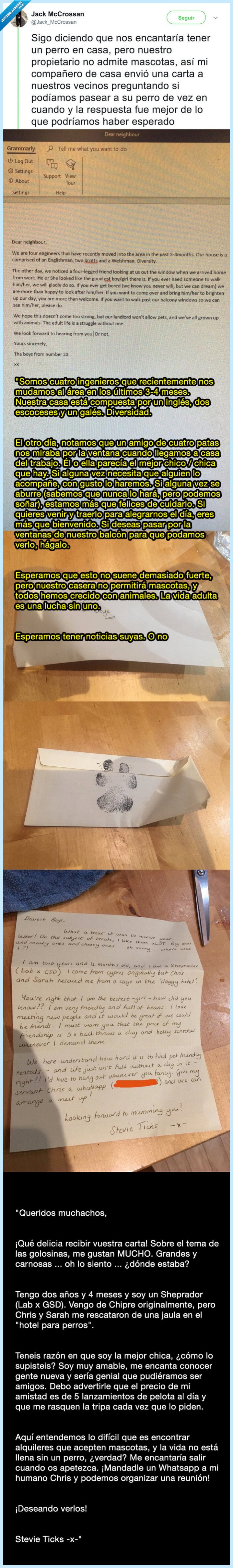 perro,cuidar,vecinos,propietario,casa