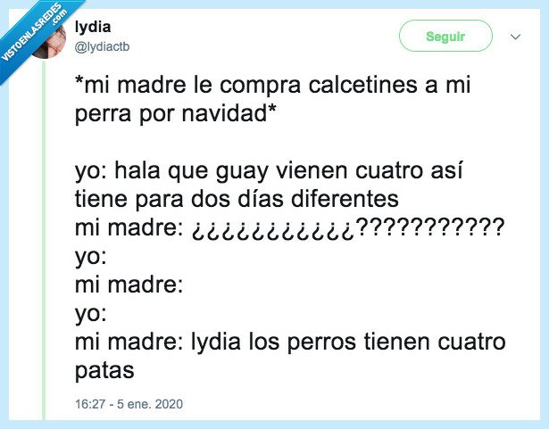 calcetines,perro,patas,regalo