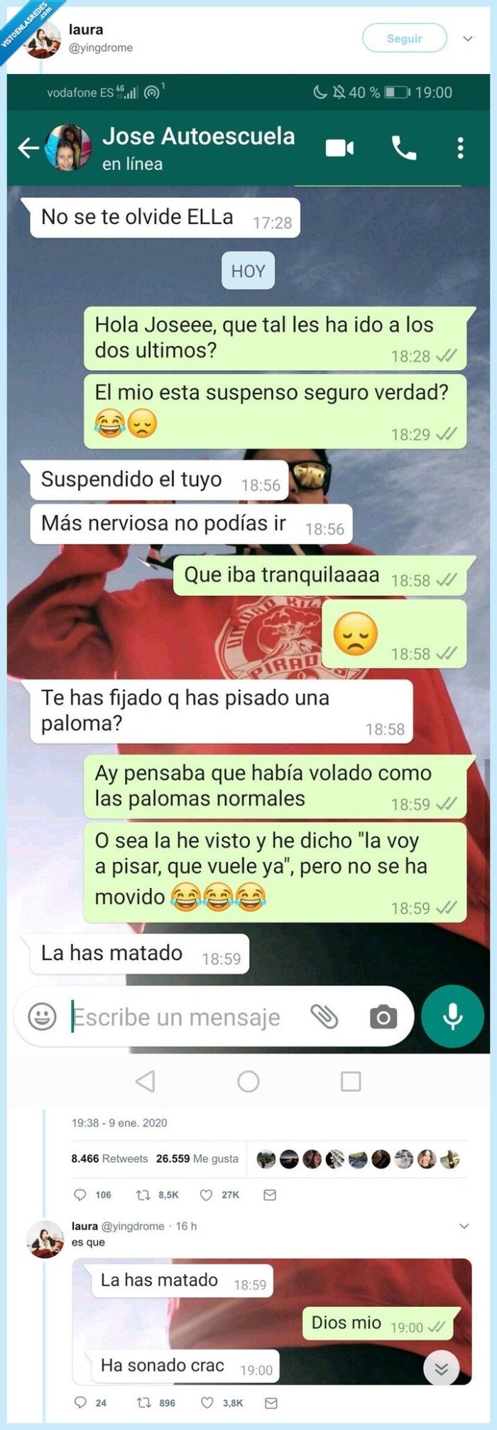 paloma,atropello,examen de conducir