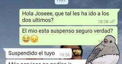 Enlace a Suspende el examen de conducir por haber atropellado una paloma. Éste es el momento en que se lo comunican