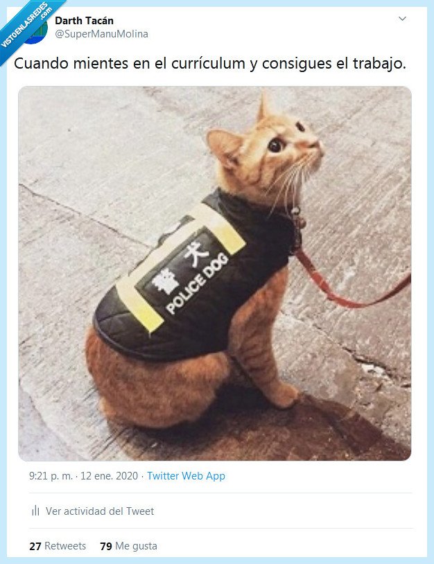 currículum,trabajo,mentir