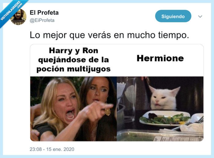 harry,hermione,harry potter