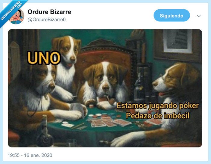 uno,poker,perros