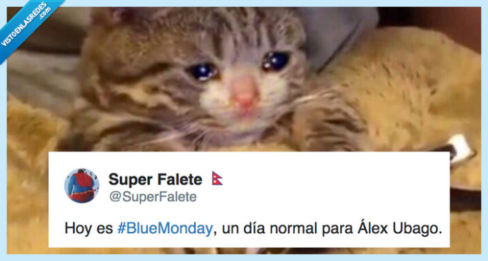 537339 - Los memes del 'Blue Monday', el día más triste del año, que harán que sea un poco menos triste