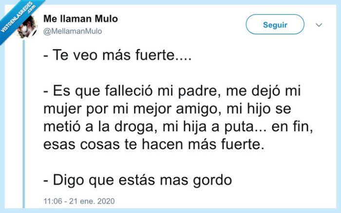 gordo,familia,vaya vida,2020