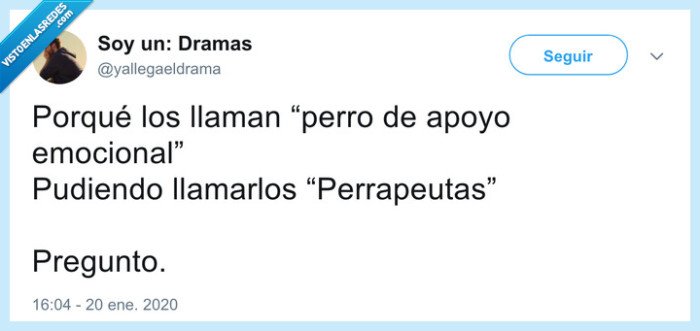 perro,terapeuta,perrapeuta
