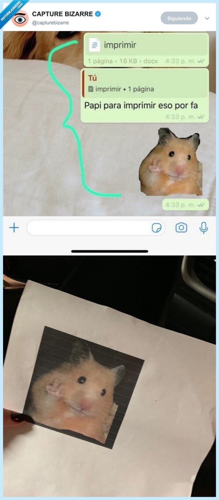 hamster,troll,imprimir