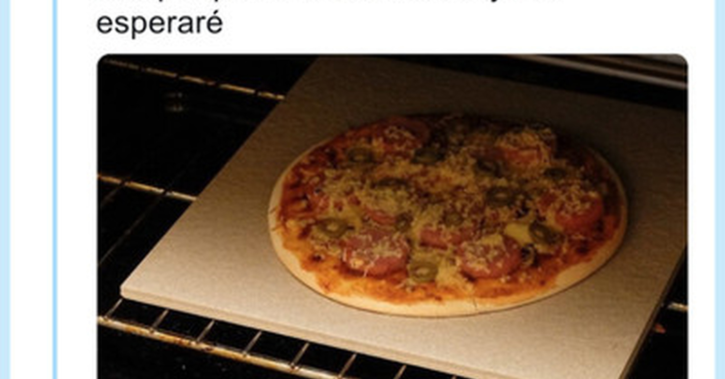 чтобы пицца не пригорела в духовке фото 81