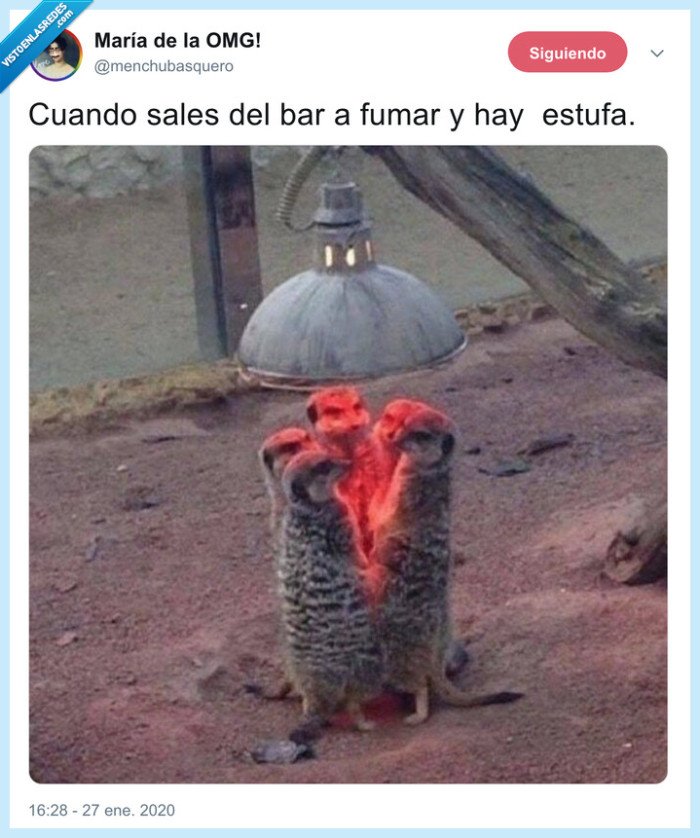 estufa,fumar