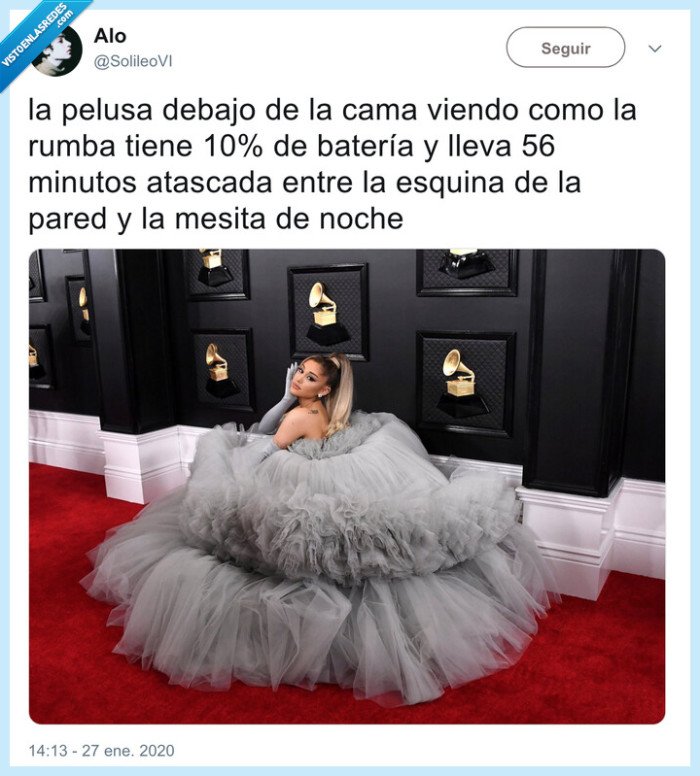 ariana grande,pelusilla,roomba