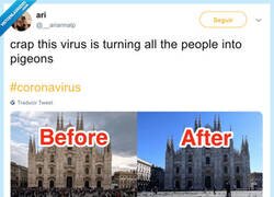 Enlace a El coronavirus convierte a personas en palomas