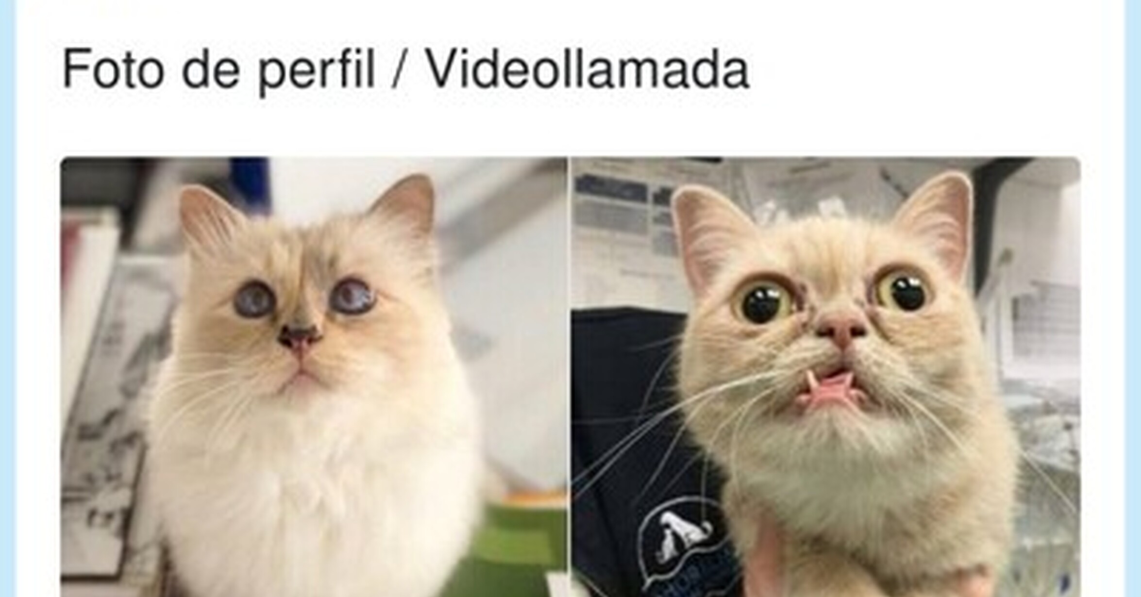 Vef Visto En Las Redes Estos Dias Se Esta Viendo La Realidad