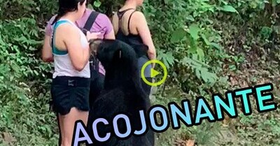 637860 - ¿Cómo reaccionar cuándo te aborda un oso de sopetón? Esta chica lo demuestra y encima acaba sacándose un selfie