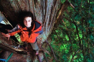 649385 - Este árbol de más de 1000 años representa una de las victorias más grandes de la naturaleza contra la humanidad gracias a una historia alucinante