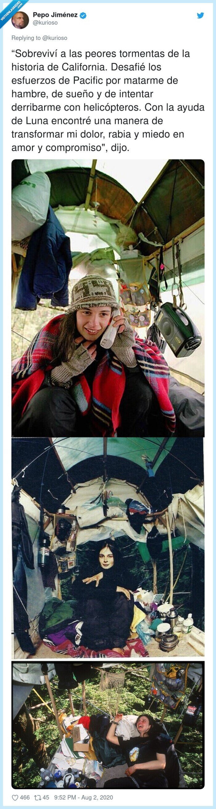 649385 - Este árbol de más de 1000 años representa una de las victorias más grandes de la naturaleza contra la humanidad gracias a una historia alucinante