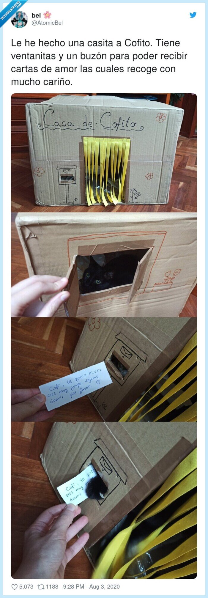 gato,recibir,cofito,casita,buzón