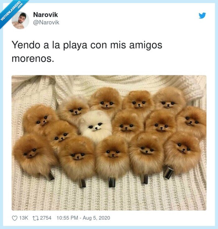 morenos,amigos,yendo,playa,con,mis