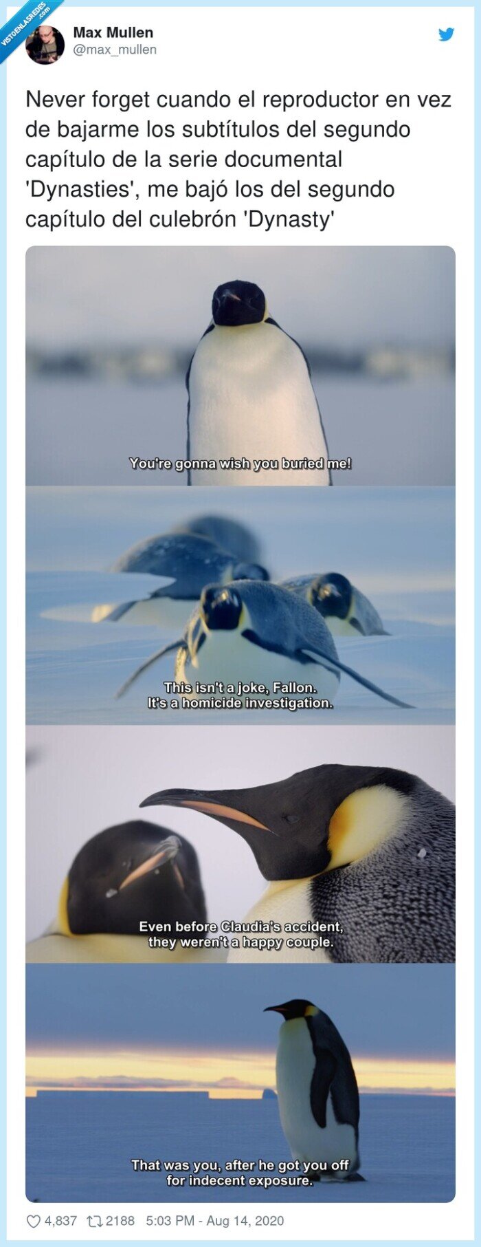 reproductor,subtítulos,dynasties,documental,culebrón,capítulo,pingüinos