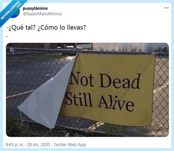 vivo,muerto,qué tal