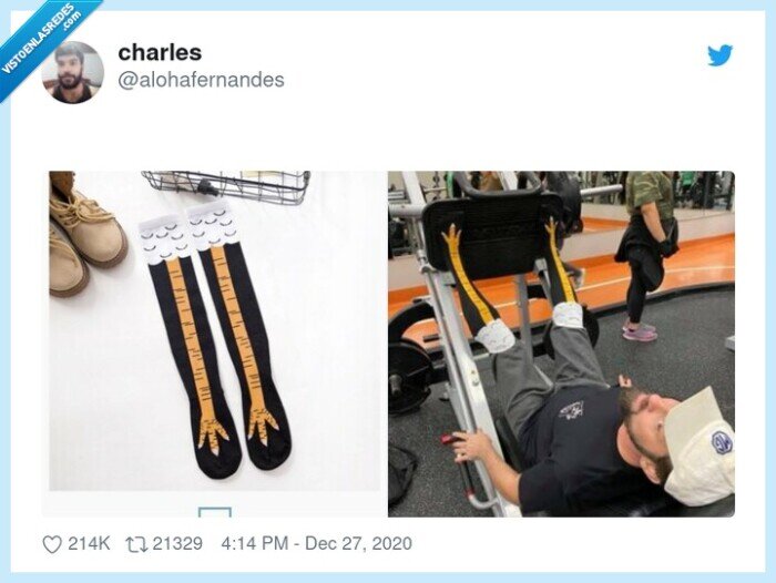 calcetin,gimnasio,canario,patas,jilguero