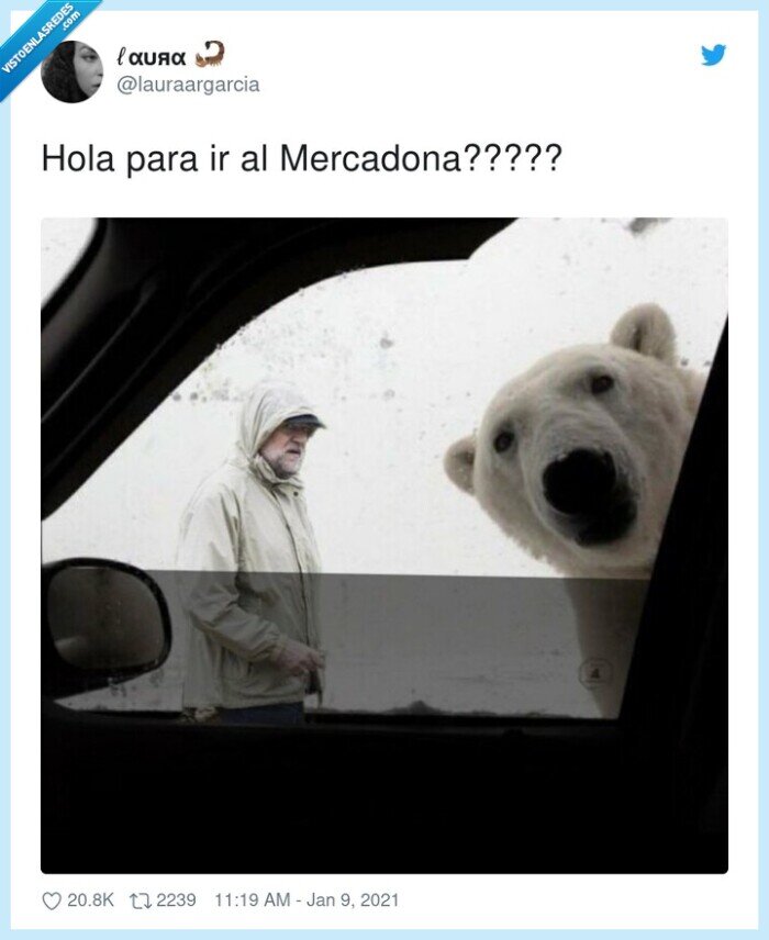 mercadona,nieve,oso polar,rajoy