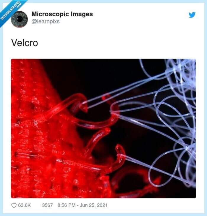 velcro,microscopio,imagen