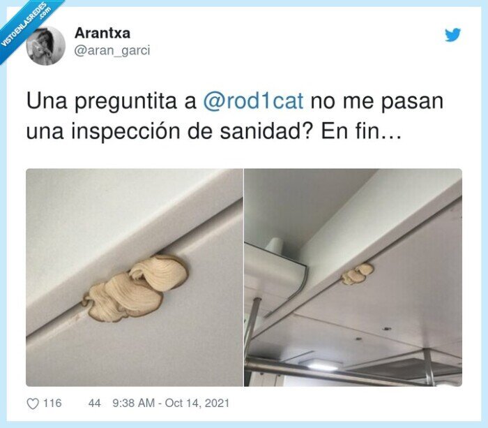 inspección,tren,setas,techo
