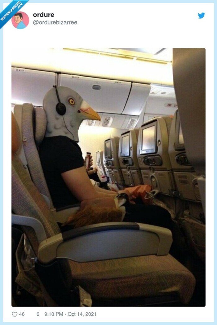 avión,máscara,paloma