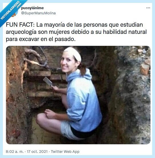arqueología,habilidad,natural,excavar