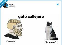 Enlace a Gatos vs perros, por @ZUNl_