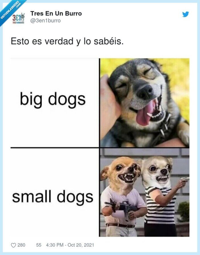 perros,grandes,pequeños