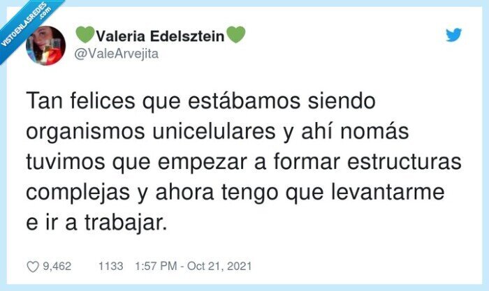 unicelulares,estructuras,levantarme,organismos,complejas