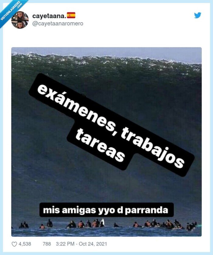 exámenes,tareas,trabajos
