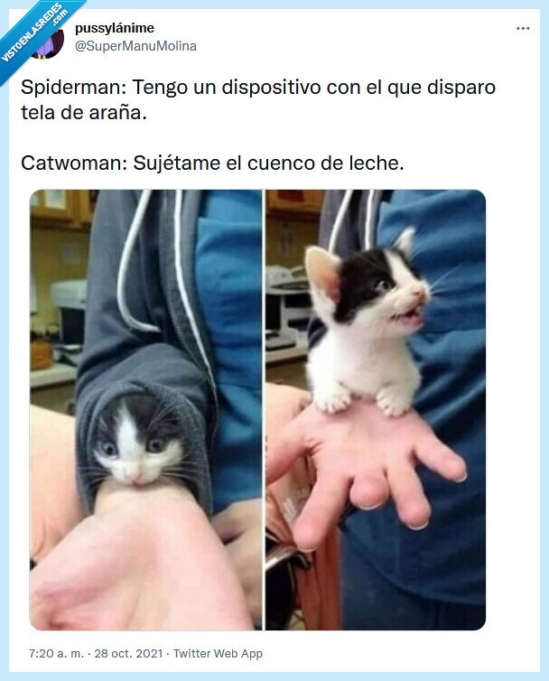 catwoman,spiderman,dispositivo