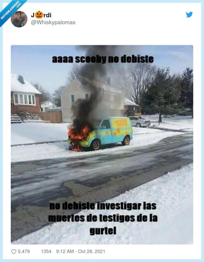 scooby doo,investigar,muertes,testigos,gurtel