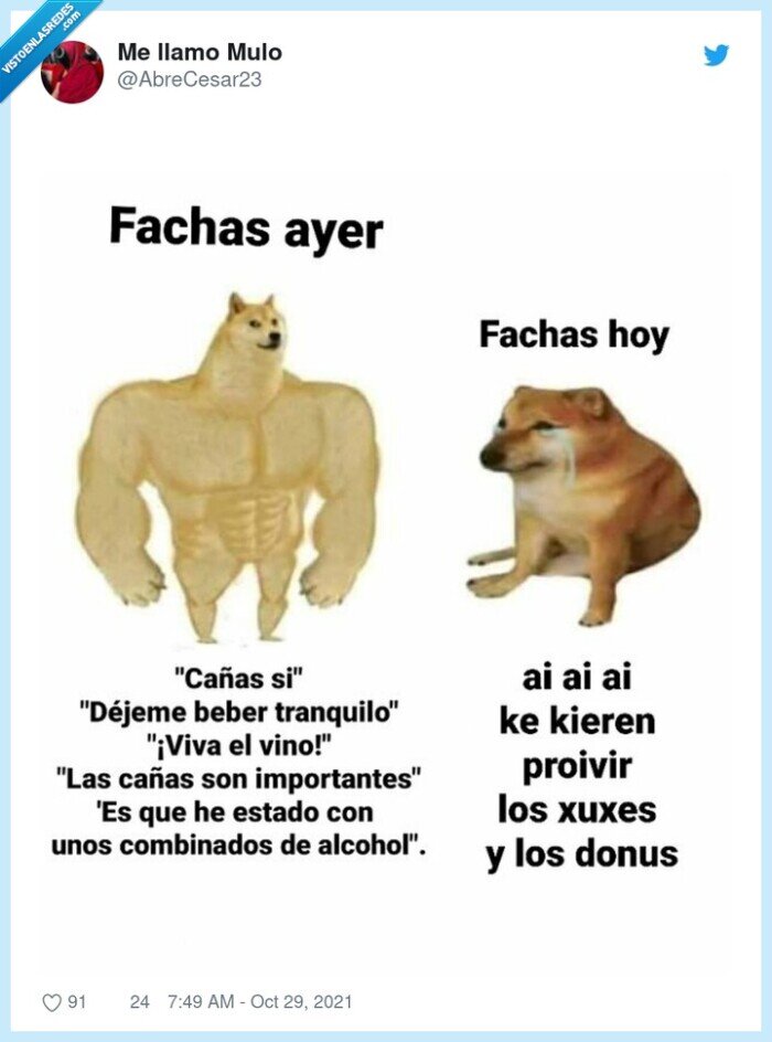 pp,azucar,dulces,doge,cheems